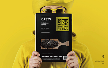 张家口绯茶品牌设计